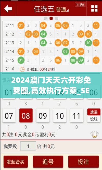 2024澳門天天六開彩免費(fèi)圖,高效執(zhí)行方案_SE版IFT1.70