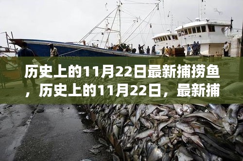 歷史上的11月22日，探尋最新捕撈魚的探索之旅