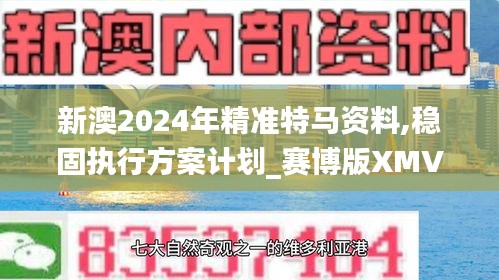 新澳2024年精準(zhǔn)特馬資料,穩(wěn)固執(zhí)行方案計(jì)劃_賽博版XMV1.66