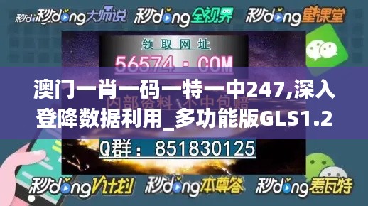 澳門一肖一碼一特一中247,深入登降數(shù)據(jù)利用_多功能版GLS1.29