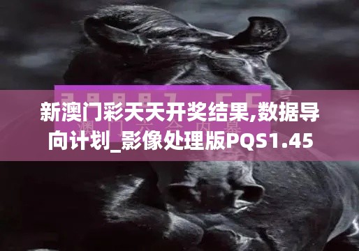 新澳門彩天天開獎結果,數(shù)據導向計劃_影像處理版PQS1.45