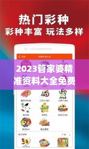 2023管家婆精準資料大全免費,全面實施策略設(shè)計_百搭版OBT1.9