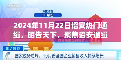 2024年11月22日詔安熱門通緝事件，深度剖析與昭告天下