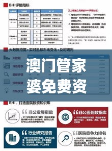 澳門管家婆免費資料查詢,案例實證分析_跨界版GHN1.13