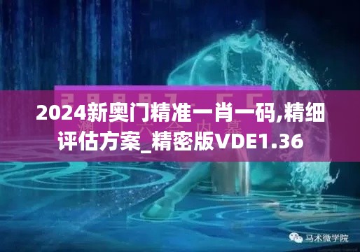 2024新奧門精準一肖一碼,精細評估方案_精密版VDE1.36