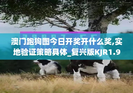 澳門跑狗圖今日開獎(jiǎng)開什么獎(jiǎng),實(shí)地驗(yàn)證策略具體_復(fù)興版KJR1.97