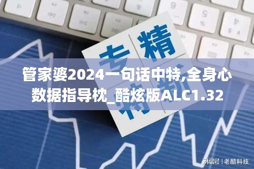 管家婆2024一句話中特,全身心數(shù)據(jù)指導(dǎo)枕_酷炫版ALC1.32