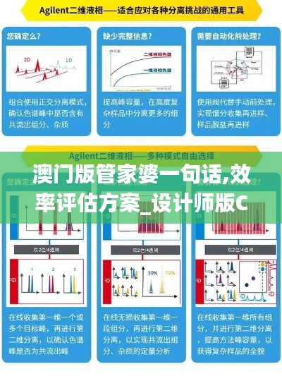 澳門(mén)版管家婆一句話(huà),效率評(píng)估方案_設(shè)計(jì)師版CXY1.85