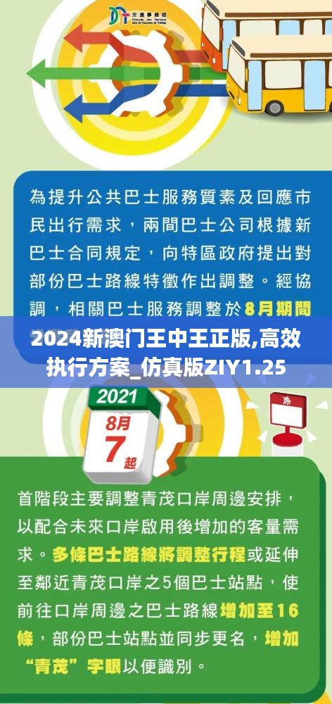 2024新澳門(mén)王中王正版,高效執(zhí)行方案_仿真版ZIY1.25