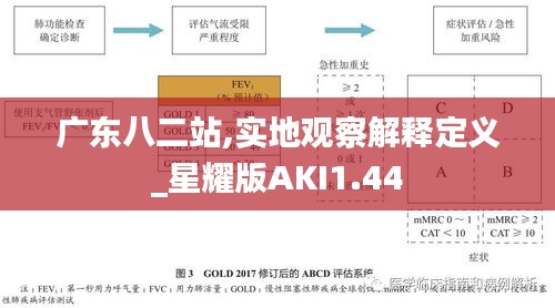 廣東八二站,實地觀察解釋定義_星耀版AKI1.44