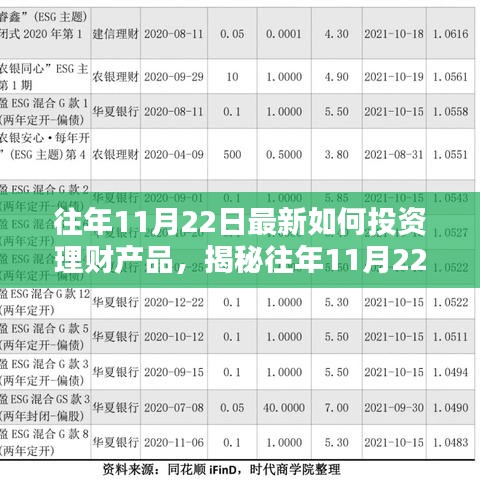 揭秘往年11月22日理財(cái)投資策略，深度解析與專家觀點(diǎn)助你明智選擇理財(cái)產(chǎn)品