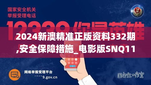 2024新澳精準(zhǔn)正版資料332期,安全保障措施_電影版SNQ11.63