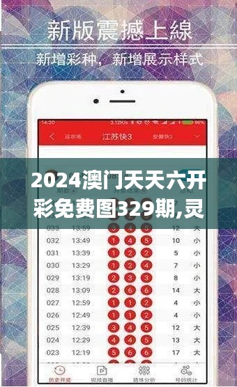 2024澳門天天六開彩免費圖329期,靈活性執(zhí)行方案_效率版DRT11.6