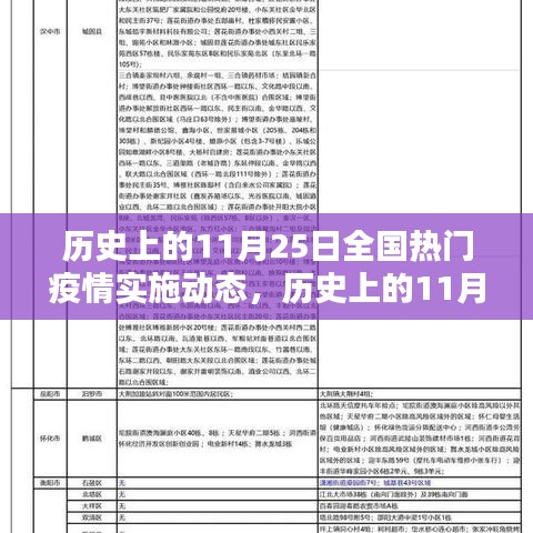 歷史上的11月25日全國熱門疫情實(shí)施動(dòng)態(tài)，歷史上的11月25日全國疫情實(shí)施動(dòng)態(tài)詳解指南