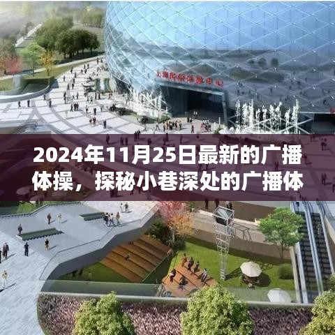 探秘廣播體操寶藏館，揭秘2024年最新風(fēng)尚的源頭與魅力