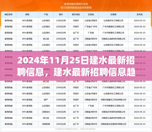 建水最新招聘信息趨勢展望與觀點闡述（2024年11月25日）