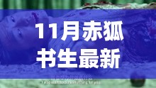 赤狐書(shū)生預(yù)售票房火爆，深度解析與觀點(diǎn)分享