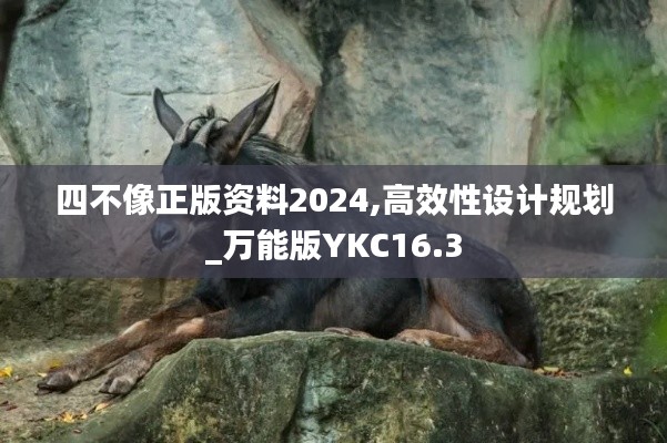 四不像正版資料2024,高效性設(shè)計(jì)規(guī)劃_萬(wàn)能版YKC16.3