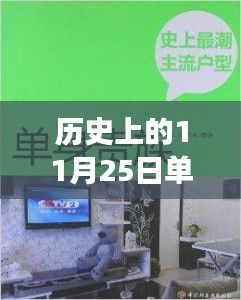 單身戀戀軟件的成長(zhǎng)之路，勵(lì)志學(xué)習(xí)變化塑造自信與成就之光的歷史回顧