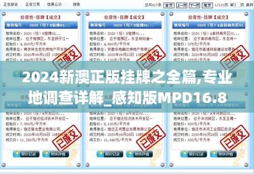 2024新澳正版掛牌之全篇,專業(yè)地調(diào)查詳解_感知版MPD16.89