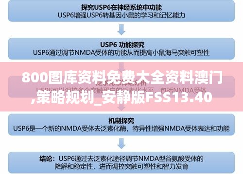 800圖庫資料免費大全資料澳門,策略規(guī)劃_安靜版FSS13.40