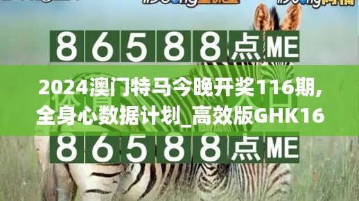 2024澳門特馬今晚開獎(jiǎng)116期,全身心數(shù)據(jù)計(jì)劃_高效版GHK16.46