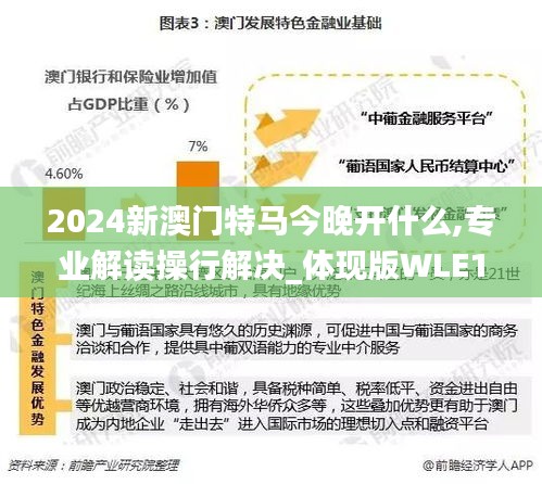 2024新澳門特馬今晚開什么,專業(yè)解讀操行解決_體現(xiàn)版WLE16.37