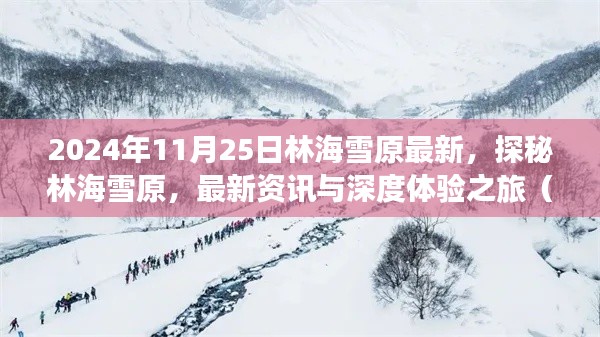 探秘林海雪原，最新深度體驗(yàn)之旅（2024年11月25日最新資訊）