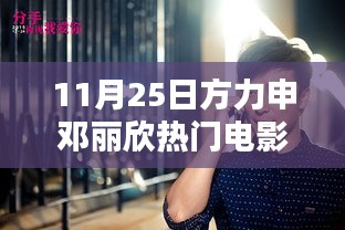 11月25日方力申鄧麗欣電影之夜，深度解析影片魅力與演員風(fēng)采