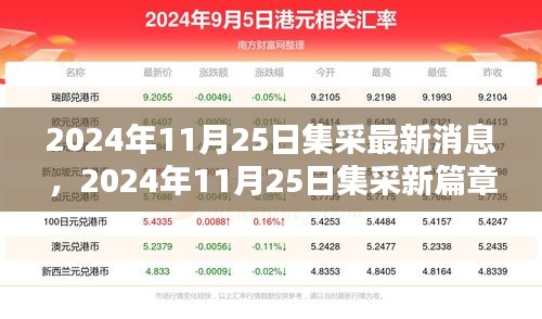 2024年11月25日集采最新動(dòng)態(tài)揭秘，行業(yè)影響與時(shí)代地位探尋