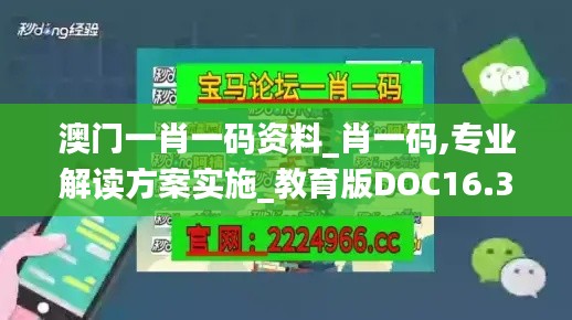 澳門一肖一碼資料_肖一碼,專業(yè)解讀方案實施_教育版DOC16.31