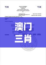 澳門三肖三碼精準(zhǔn)100%公司認(rèn)證,實時異文說明法_多功能版HVA13.80