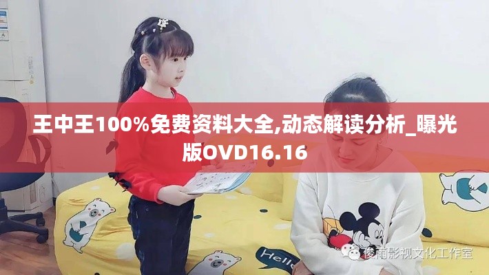 王中王100%免費資料大全,動態(tài)解讀分析_曝光版OVD16.16