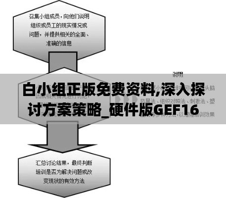 白小組正版免費資料,深入探討方案策略_硬件版GEF16.73