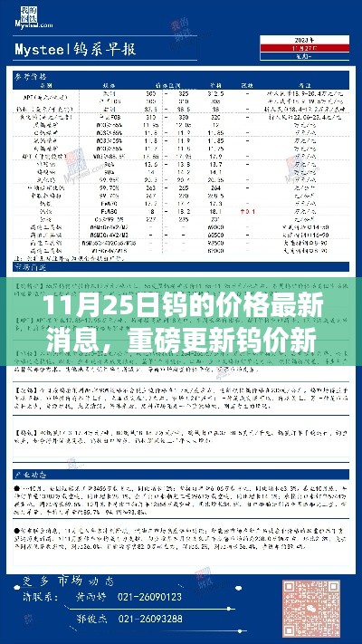 11月25日鎢價新紀(jì)元，市場動態(tài)與高科技鎢制品革新同步更新