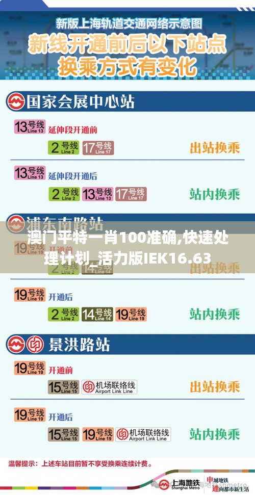 澳門平特一肖100準(zhǔn)確,快速處理計(jì)劃_活力版IEK16.63