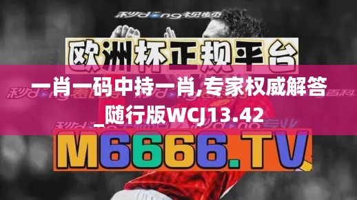 一肖一碼中持一肖,專家權(quán)威解答_隨行版WCJ13.42