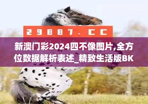 新澳門彩2024四不像圖片,全方位數(shù)據(jù)解析表述_精致生活版BKE16.55