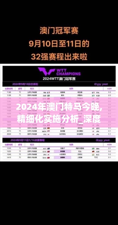 2024年澳門特馬今晚,精細(xì)化實(shí)施分析_深度版MPH13.5