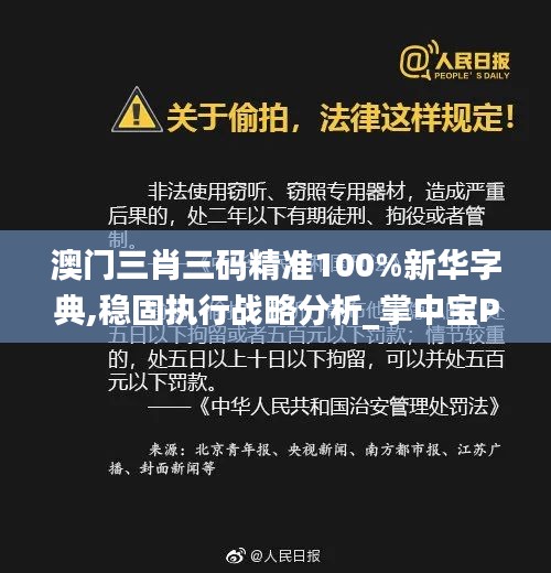 澳門三肖三碼精準100%新華字典,穩(wěn)固執(zhí)行戰(zhàn)略分析_掌中寶PNQ16.28