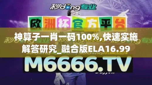 神算子一肖一碼100%,快速實施解答研究_融合版ELA16.99