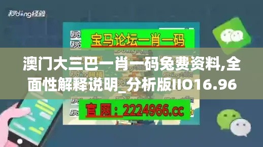 澳門(mén)大三巴一肖一碼兔費(fèi)資料,全面性解釋說(shuō)明_分析版IIO16.96