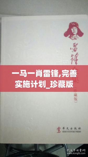 一馬一肖雷鋒,完善實施計劃_珍藏版ULW13.52