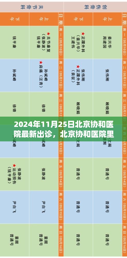 北京協(xié)和醫(yī)院溫馨出診日（2024年11月25日最新出診信息）