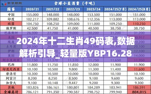 2024年十二生肖49碼表,數(shù)據(jù)解析引導(dǎo)_輕量版YBP16.28