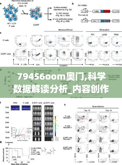 79456oom奧門,科學(xué)數(shù)據(jù)解讀分析_內(nèi)容創(chuàng)作版ONP13.47