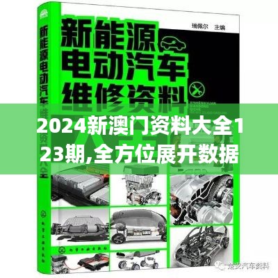 2024新澳門資料大全123期,全方位展開數(shù)據(jù)規(guī)劃_外觀版OBS16.52