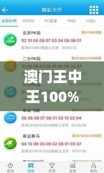 澳門王中王100%期期中,數(shù)據(jù)詳解說明_啟動版KOT16.39