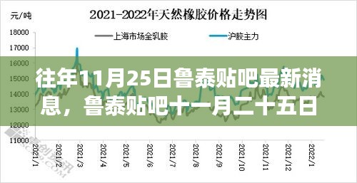 歲月見(jiàn)證下的魯泰貼吧最新消息回顧，十一月二十五日動(dòng)態(tài)速遞