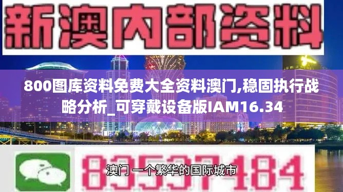 800圖庫(kù)資料免費(fèi)大全資料澳門(mén),穩(wěn)固執(zhí)行戰(zhàn)略分析_可穿戴設(shè)備版IAM16.34